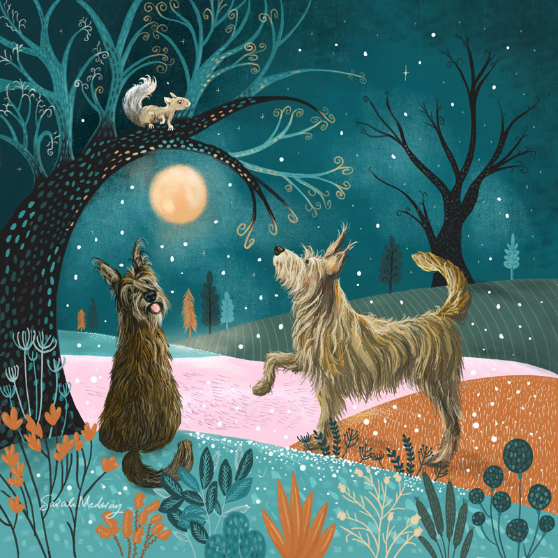 winter night with berger picard christmas greeting card