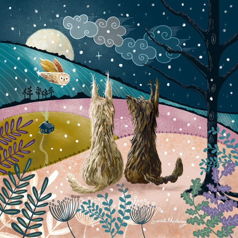 winter night with berger picard christmas greeting card