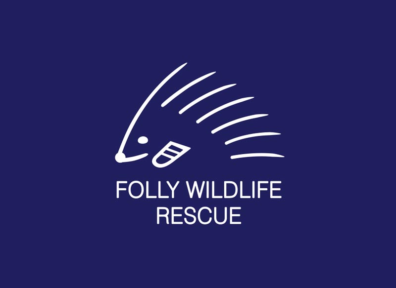 promotional and direct mail design