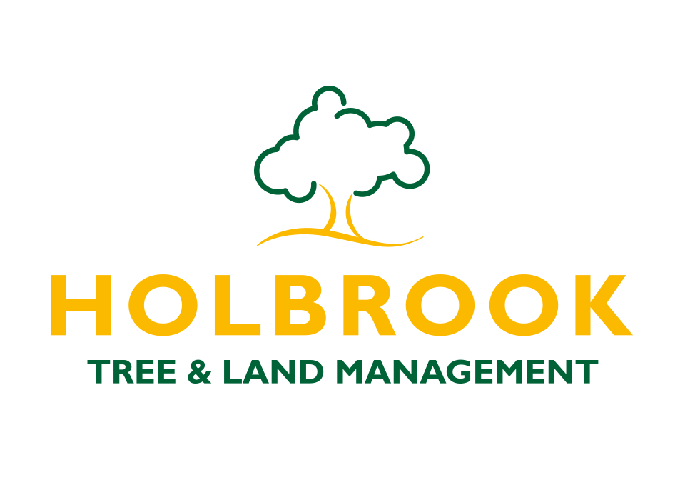 logo and identity design