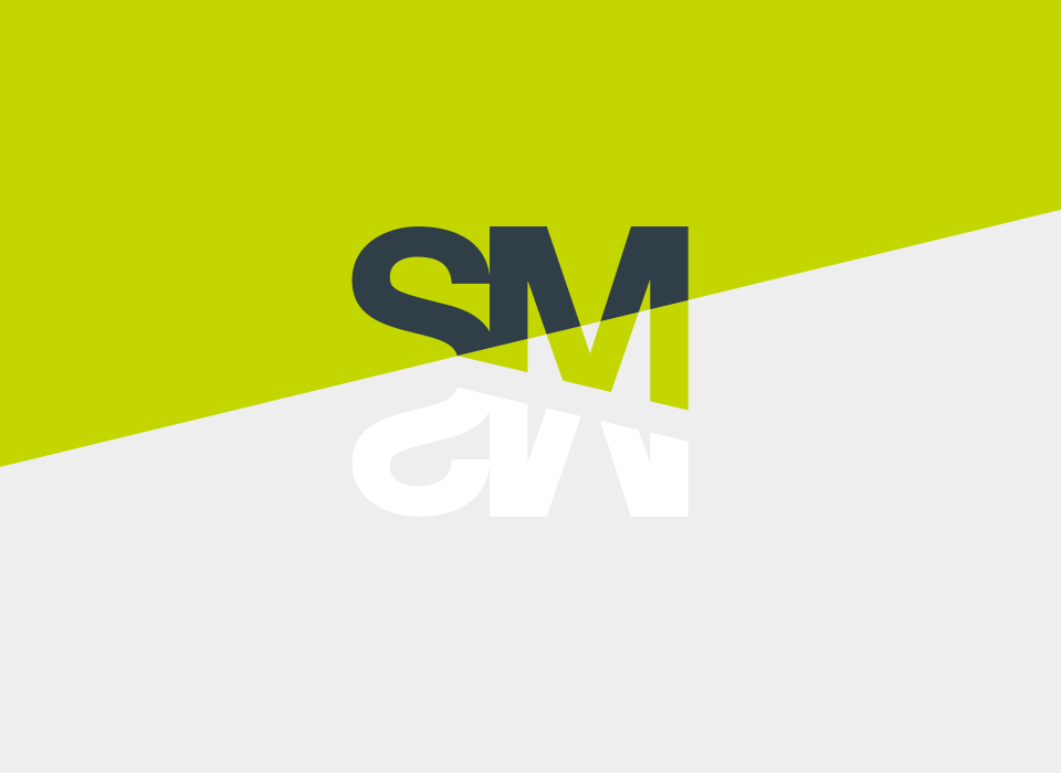 experienced logo designer