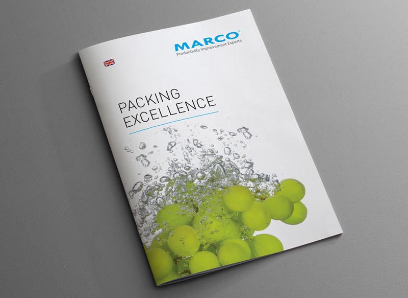 brochure and exhibition design